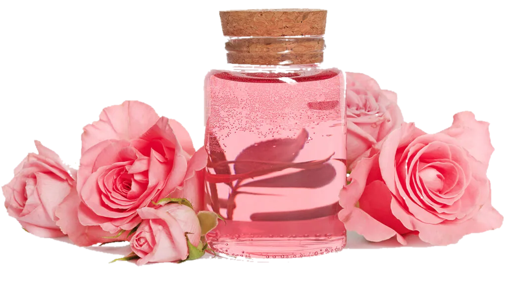 Moisturizing Oils & Carrier Oils for Skincare