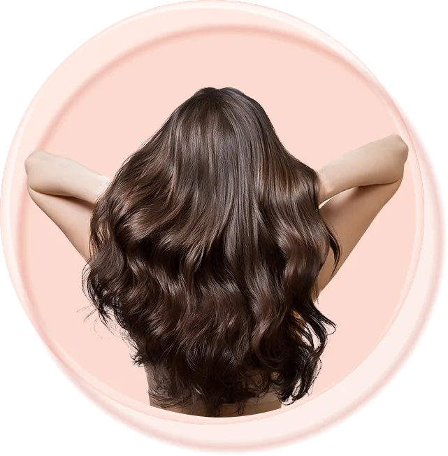 Premium Wholesale Conditioner Bases