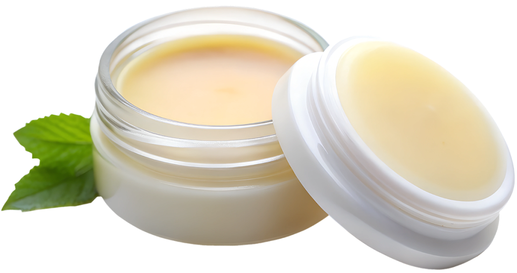 Lip Balm Jar Transparent