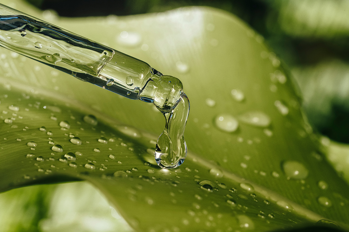 Close Up Oil Extract