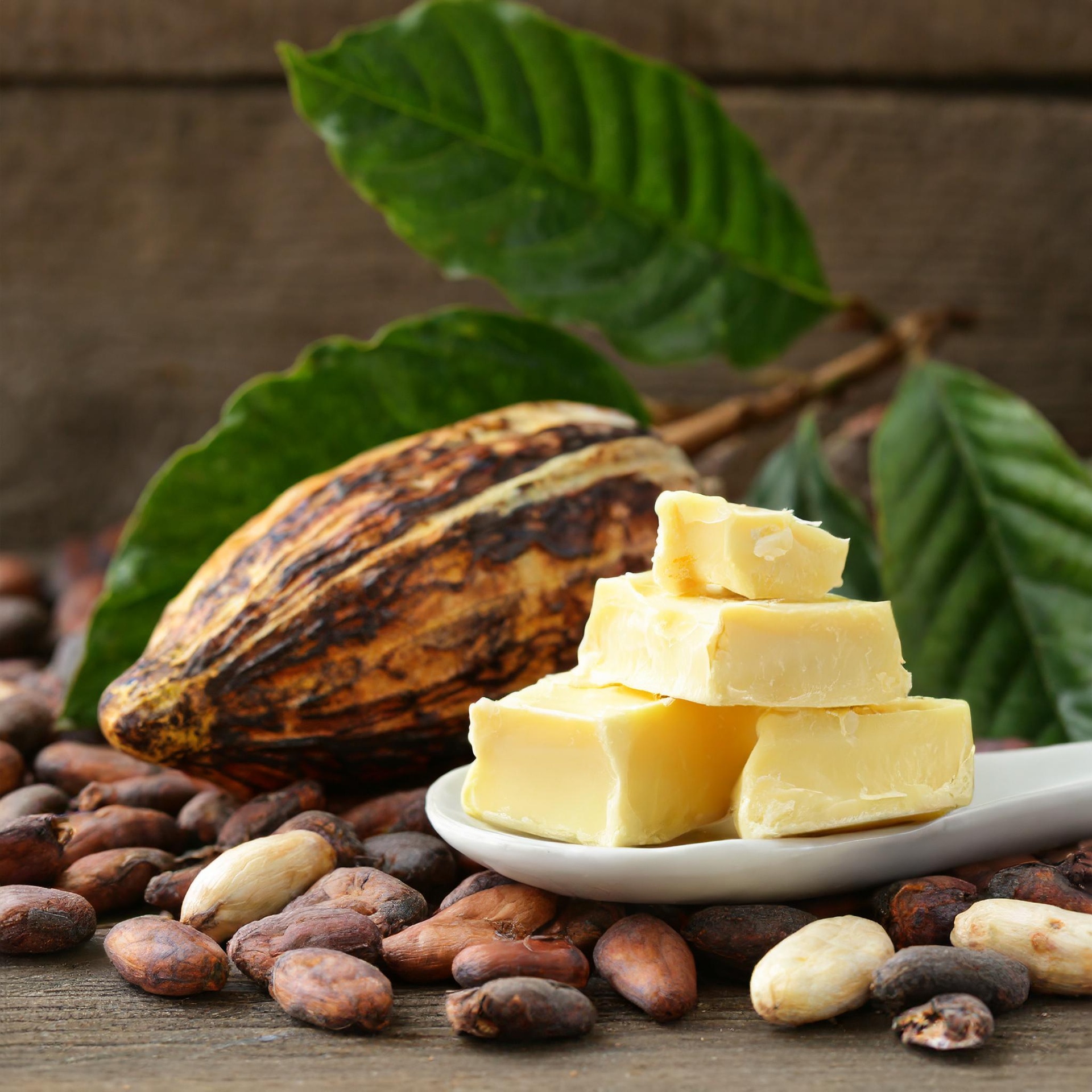 Cocoa Butter 4967 2.jpeg